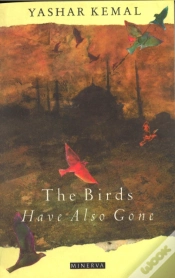 Capa do artigo Birds Have Also Gone
