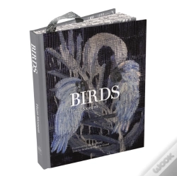 Capa do artigo Birds