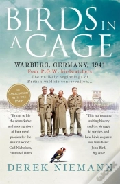 Capa do artigo Birds In A Cage