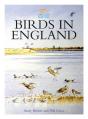 Birds In England - Preview