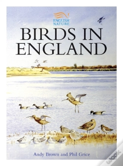 Capa do artigo Birds In England