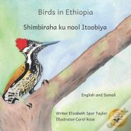 Birds In Ethiopia