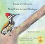 Birds In Ethiopia - Preview