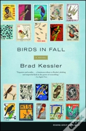 Capa do artigo Birds In Fall