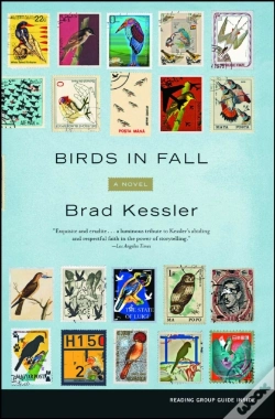 Capa do artigo Birds In Fall