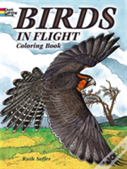 Birds In Flight Coloring Book