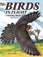 Birds In Flight Coloring Book - Preview