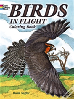 Capa do artigo Birds In Flight Coloring Book