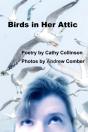 Birds In Her Attic - Preview