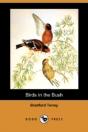 Birds In The Bush (Dodo Press) - Preview