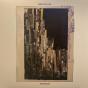 Birds In The Ceiling - Vinil - Preview