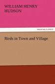 Birds In Town And Village