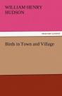 Birds In Town And Village - Preview