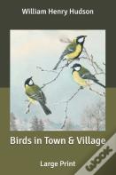 Birds In Town & Village