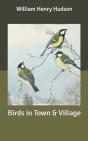 Birds In Town & Village - Preview