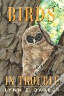 Birds In Trouble