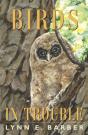Birds In Trouble - Preview