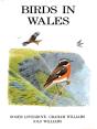 Birds In Wales - Preview