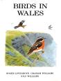 Birds In Wales - Preview