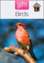 Birds - Preview