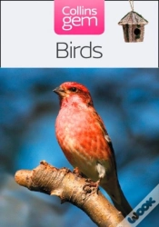 Capa do artigo Birds