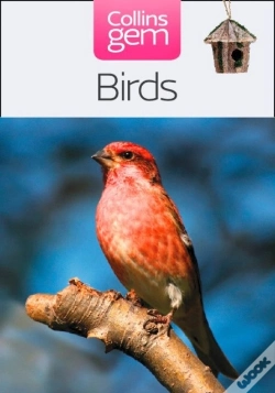 Capa do artigo Birds