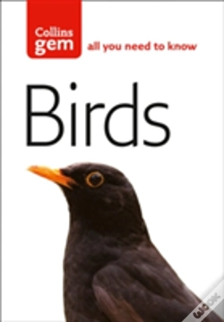 Capa do artigo Birds