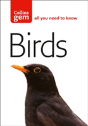 Birds - Preview