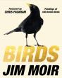 Birds - Preview