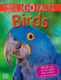 Birds - Preview