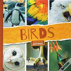 Capa do artigo Birds