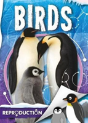 Birds - Preview