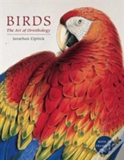 Capa do artigo Birds