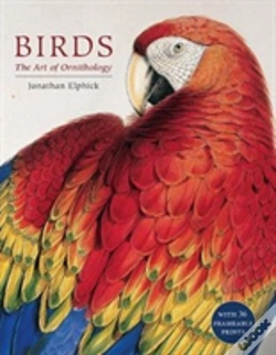 Capa do artigo Birds
