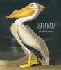 Birds - Preview