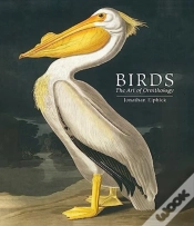 Capa do artigo Birds