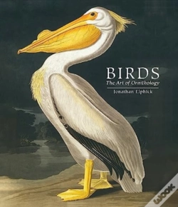 Capa do artigo Birds