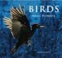 Birds: Magic Moments - Preview