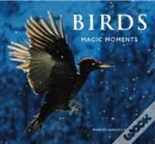 Birds: Magic Moments