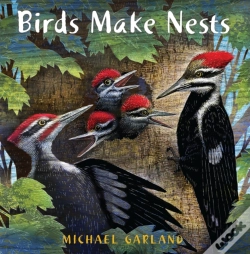 Capa do artigo Birds Make Nests