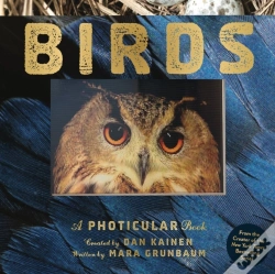Capa do artigo Birds