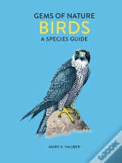 Capa do artigo Birds