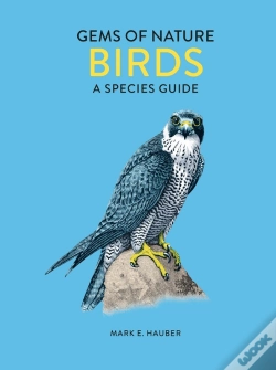 Capa do artigo Birds