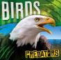 Birds - Preview
