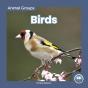 Birds - Preview