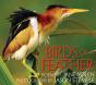 Birds Of A Feather - Preview