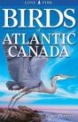 Birds Of Atlantic Canada - Preview