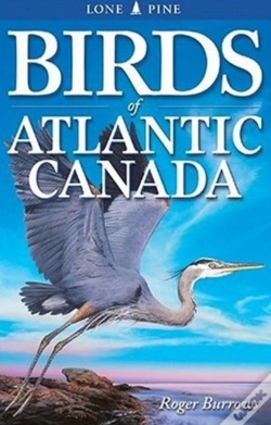 Capa do artigo Birds Of Atlantic Canada