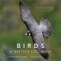 Birds Of British Columbia - Preview