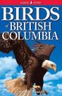 Birds Of British Columbia - Preview